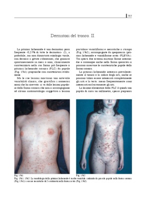 problemi tronco di piramide Book