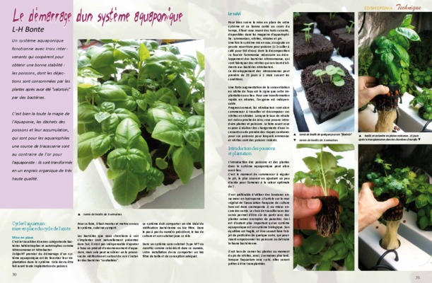 stir zarzouna Book