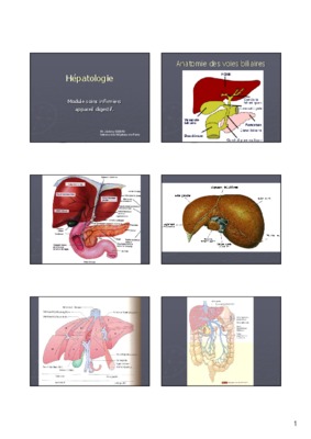 cours hepatologie Book
