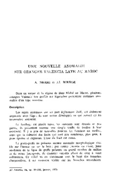 fiche technique de valencia late Book