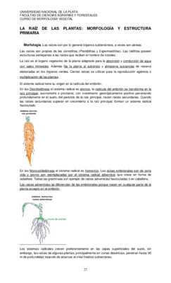 2 primaria y las plantas Book