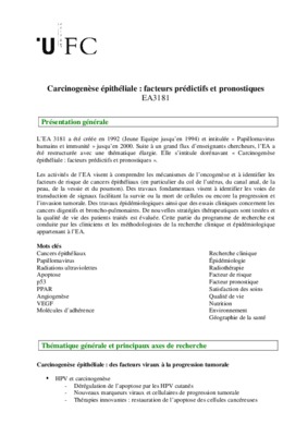 epitheliale Book
