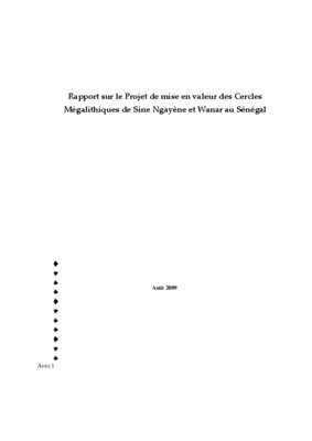 les cercles megalithiques senegambiens Book