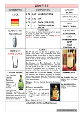 gin fizz Book