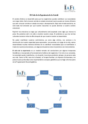 el ciclo de la experiencia Book