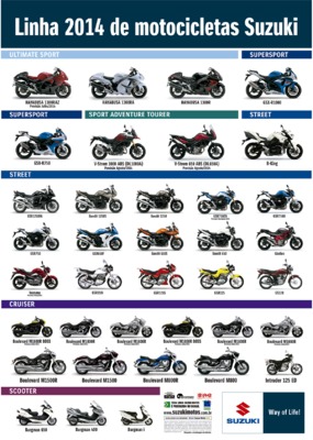 catalogo suzuki ax 100 Book