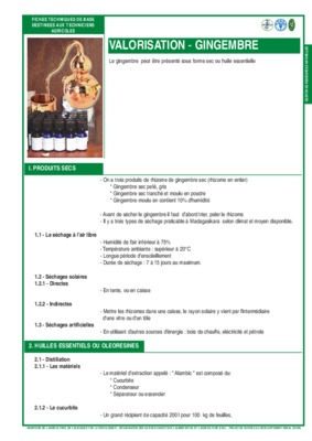 marche gingembre Book