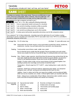 tarantula Book