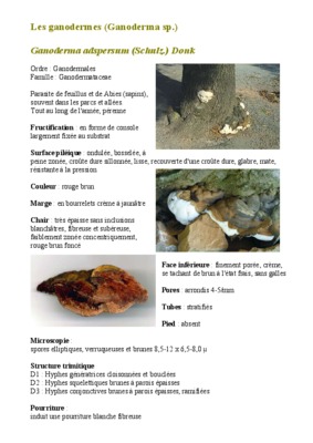adspersum Book