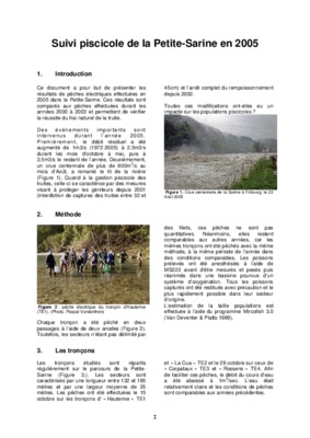 sarine campagne Book