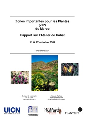 sibe jbel moussa Book