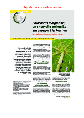solen marginatus Book