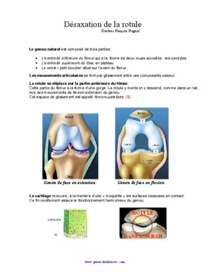 desaxation Book