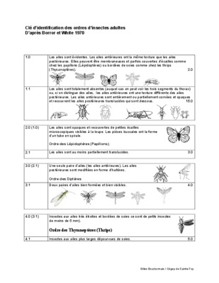 ordres des insectes Book