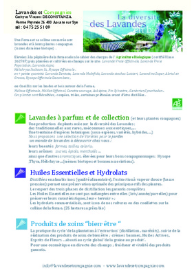 bienetre et infirmiaire Book