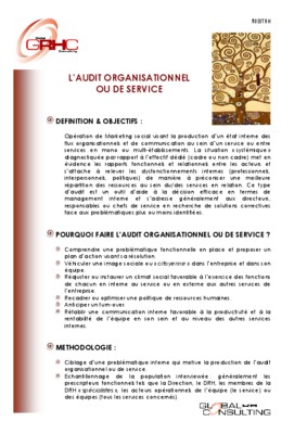 etude de cas corrige baisse de la productivite en audit orga Book