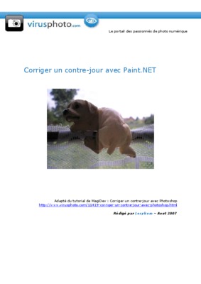 paintnet Book
