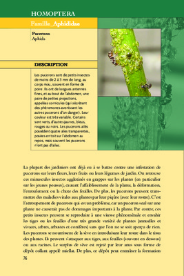 anti pucerons Book