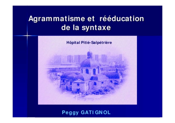 agrammatisme Book