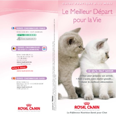 tout savoir sur un chaton Book