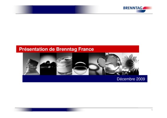 brenntag fds Book