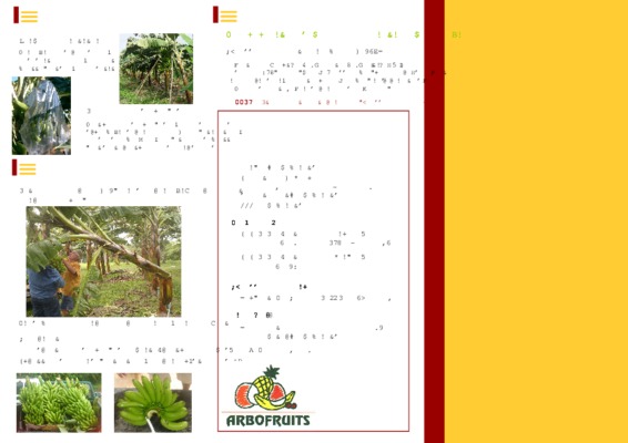 creation bananeraie Book