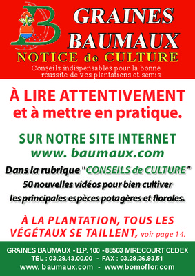 bon de commande baumaux 2013 Book
