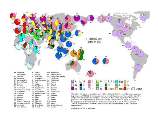 haplogroups Book