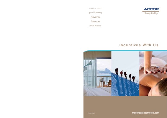 incentives Book