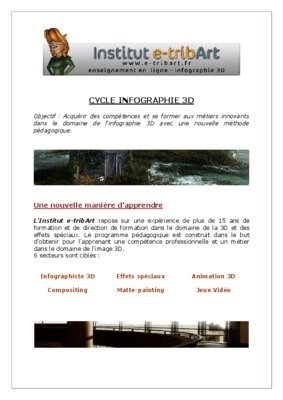 memoire fin cycle infographie Book