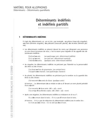 exercices sur les indefinis Book