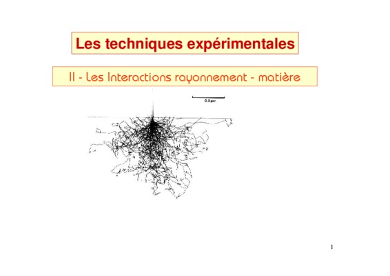 inelastiques Book
